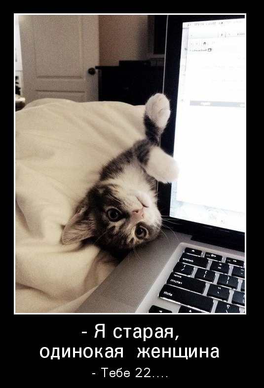 Ржачные, веселые и смешные демотиваторы для хорошего настроения Ржачные, веселые и смешные демотиваторы для хорошего настроения демотиваторы свежие,смешные демотиваторы,юмор