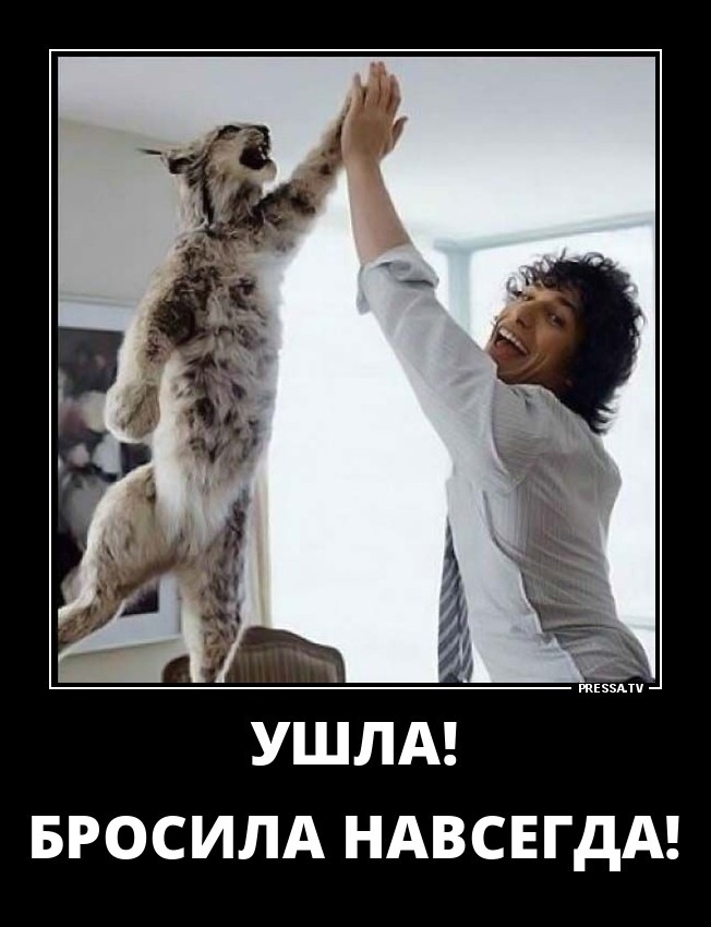 Самые оптимистичные демотиваторы Самые оптимистичные демотиваторы