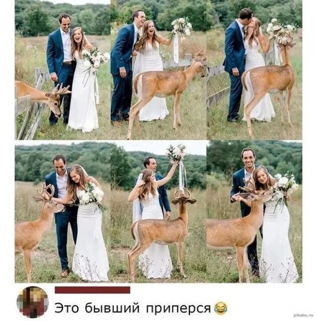 Комментарии к постам в социальных сетях  