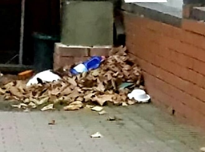 Кошка в мусоре