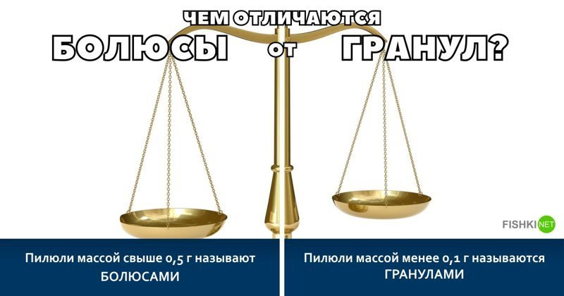 Чем отличаются болюсы от гранул? инструменты, интересное, отличия, понятия, продукты