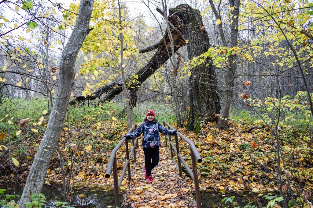 Гурьево - Воскресенское + Ярополец 