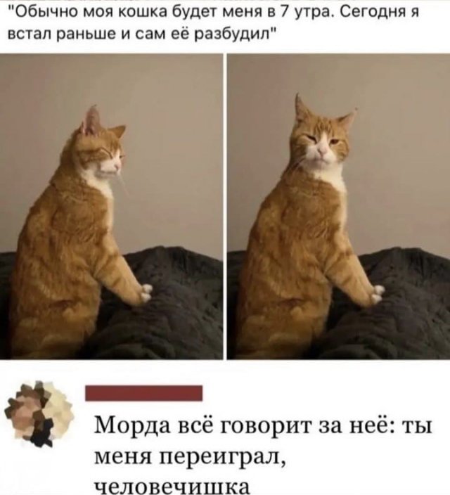 Лучшие шутки и мемы из Сети