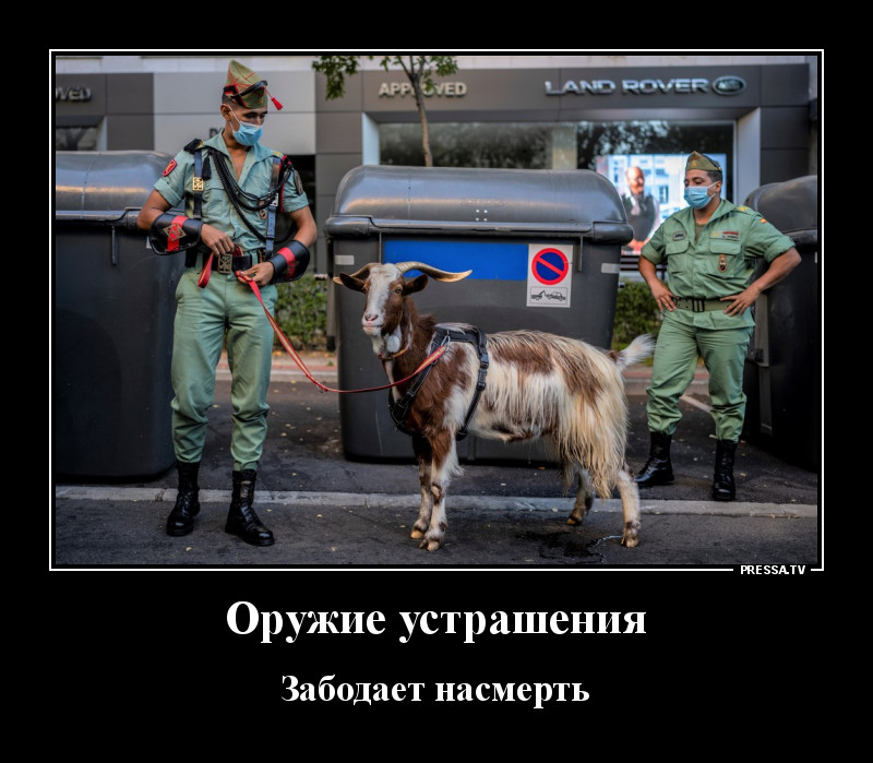 Свежая коллекция юмора для отличного настроения Свежая коллекция юмора для отличного настроения