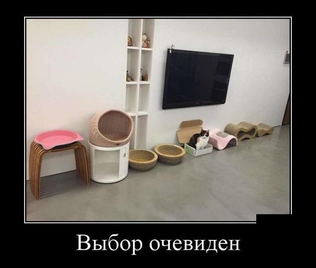 Можно ли быть и честным, и богатым? Можно ли быть и честным, и богатым? анекдоты,веселье,демотиваторы,приколы,смех,юмор