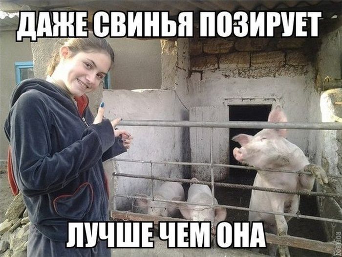 Картинки цветы, свинья смешные картинки с надписями
