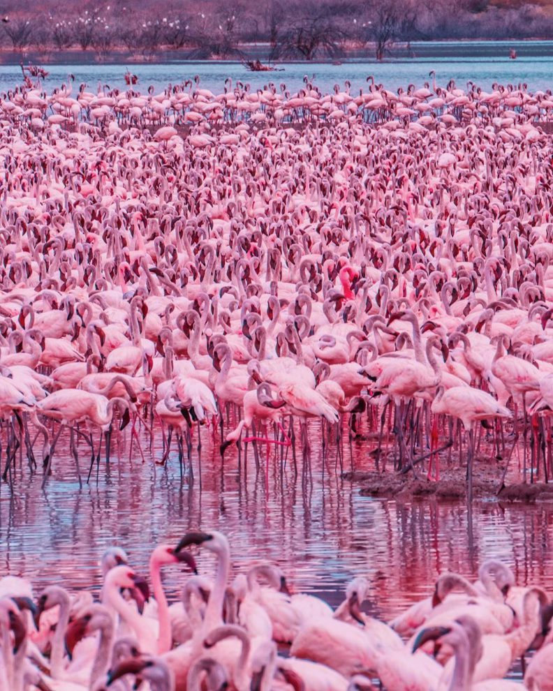 30 удивительных фото Кристины Макеевой прямиком из Кении 