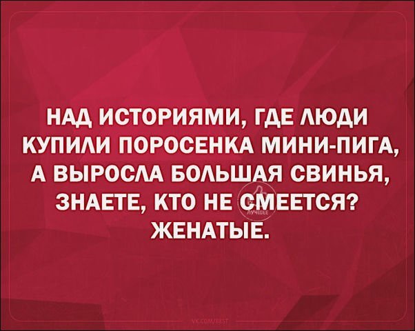 Смешные «Аткрытки» подборка, прикол, юмор