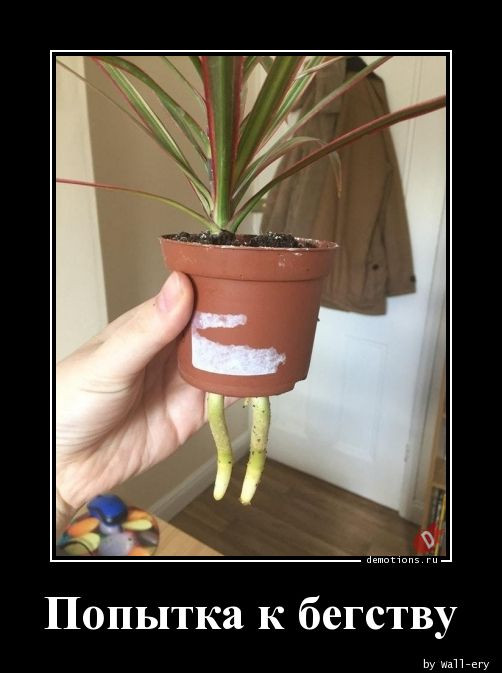 Демотиваторы – картинки: «Здорово, бро!» Демотиваторы – картинки: «Здорово, бро!»