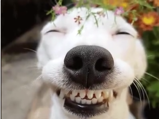 С женой поссорился