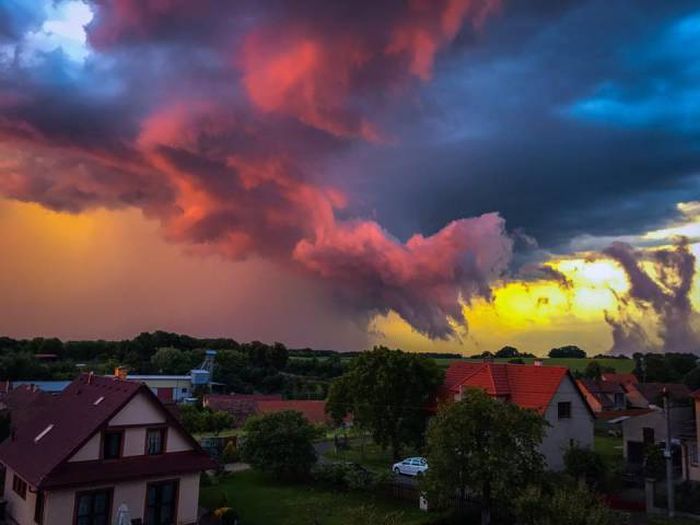 Фото приколы и веселые картинки 