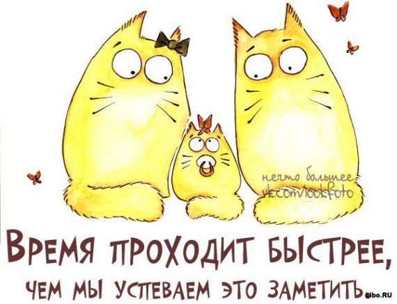 Мудрые мысли в прикольных картинках :) Мудрые мысли в прикольных картинках :)