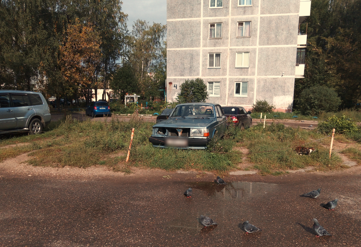 В Твери продолжают выявлять любителей парковаться на газонах