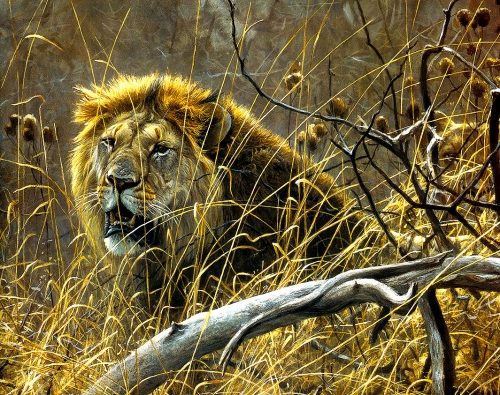 Художник Роберт Бейтман | Robert Bateman (363 работ)