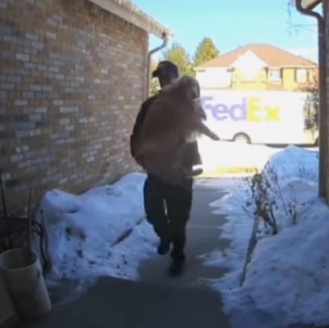 Собаку несут