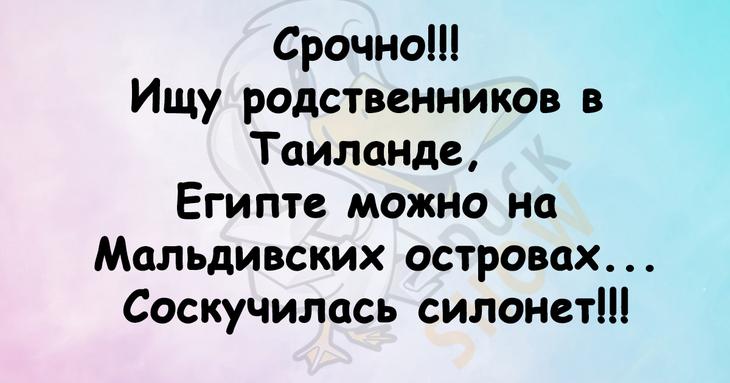 Смех полезен для здоровья: задорные анекдоты в картинках Смех полезен для здоровья: задорные анекдоты в картинках