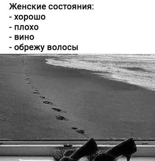 Смешные до слез свежие картинки с надписями Смешные до слез свежие картинки с надписями