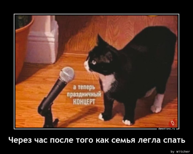 Демотиваторы – картинки: «Здорово, бро!» Демотиваторы – картинки: «Здорово, бро!»