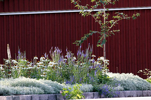 wild-garden-inspiration-naturalness9.jpg wild-garden-inspiration-naturalness9.jpg