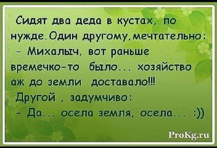 Идет красная шапка по лесу с пирожками, присела отдохнуть, останавливается машина, выходит волк… Юмор,картинки приколы,приколы,приколы 2019,приколы про