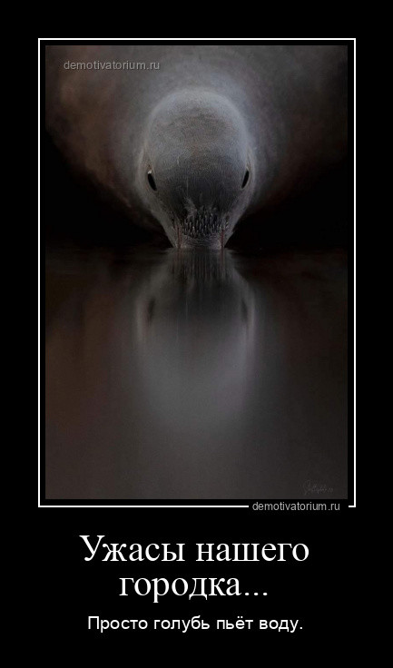 Прикольный сборник демотиваторов Прикольный сборник демотиваторов