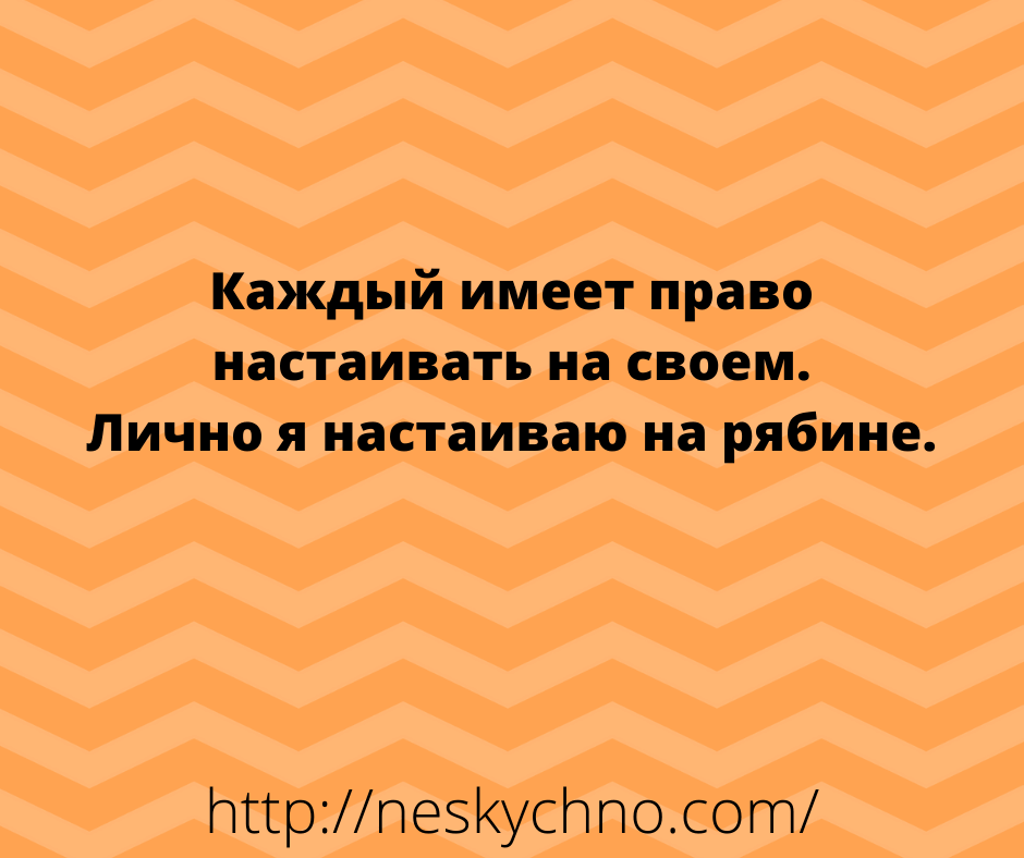 Немного отборных анекдотов для поддержания настроения 