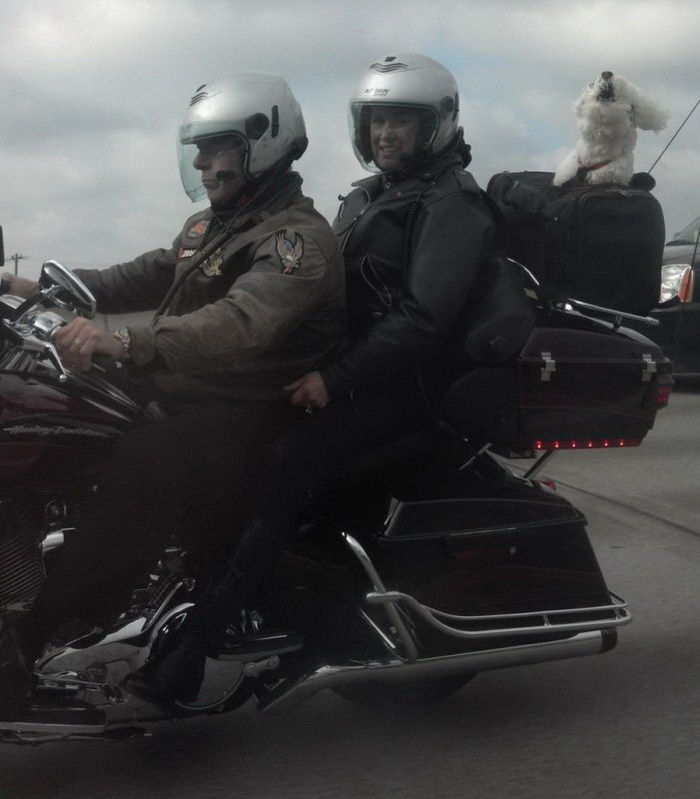 Фотоподборка вторника 27 ноября Фотоподборка вторника 27 ноября