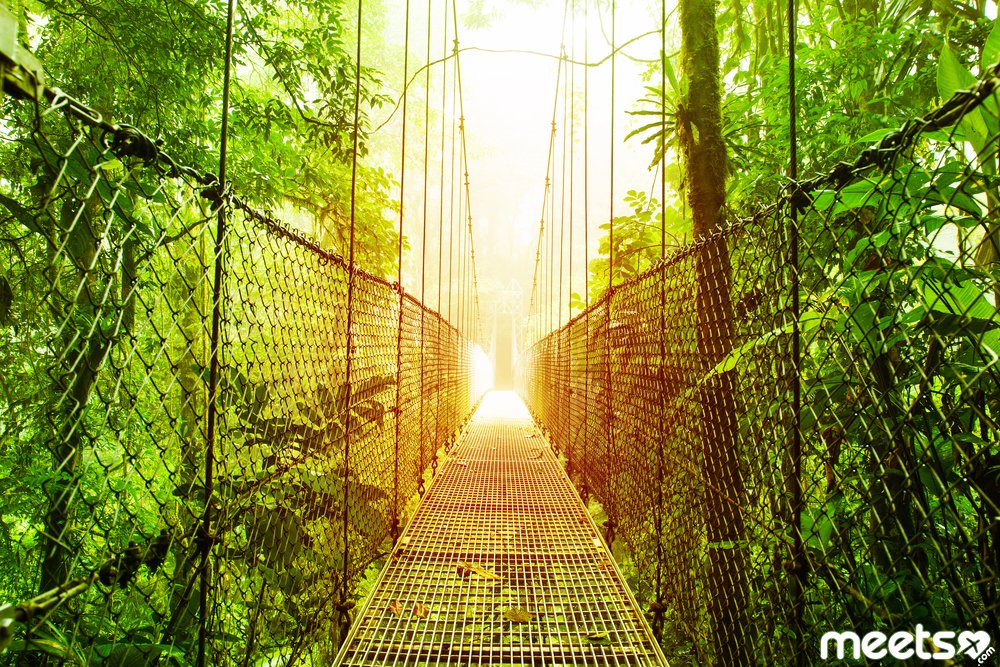 Costa Rica bridge
