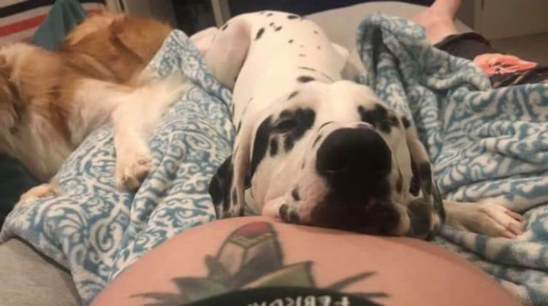 BeFunky-collage (13)