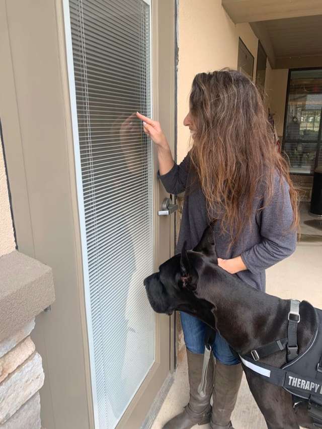 собака с девушкой