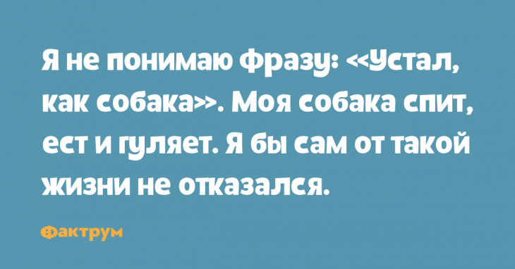 Обалденные шутки для шикарного настроения Обалденные шутки для шикарного настроения