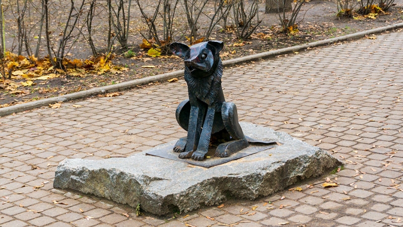 Памятник собаке Гаврюше