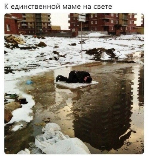 Лучшие прикольные фотомемы 