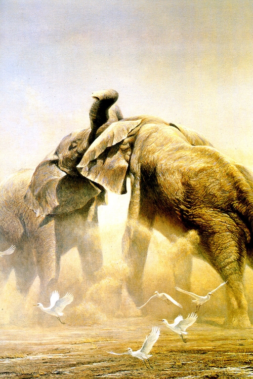 Художник Роберт Бейтман | Robert Bateman (363 работ)