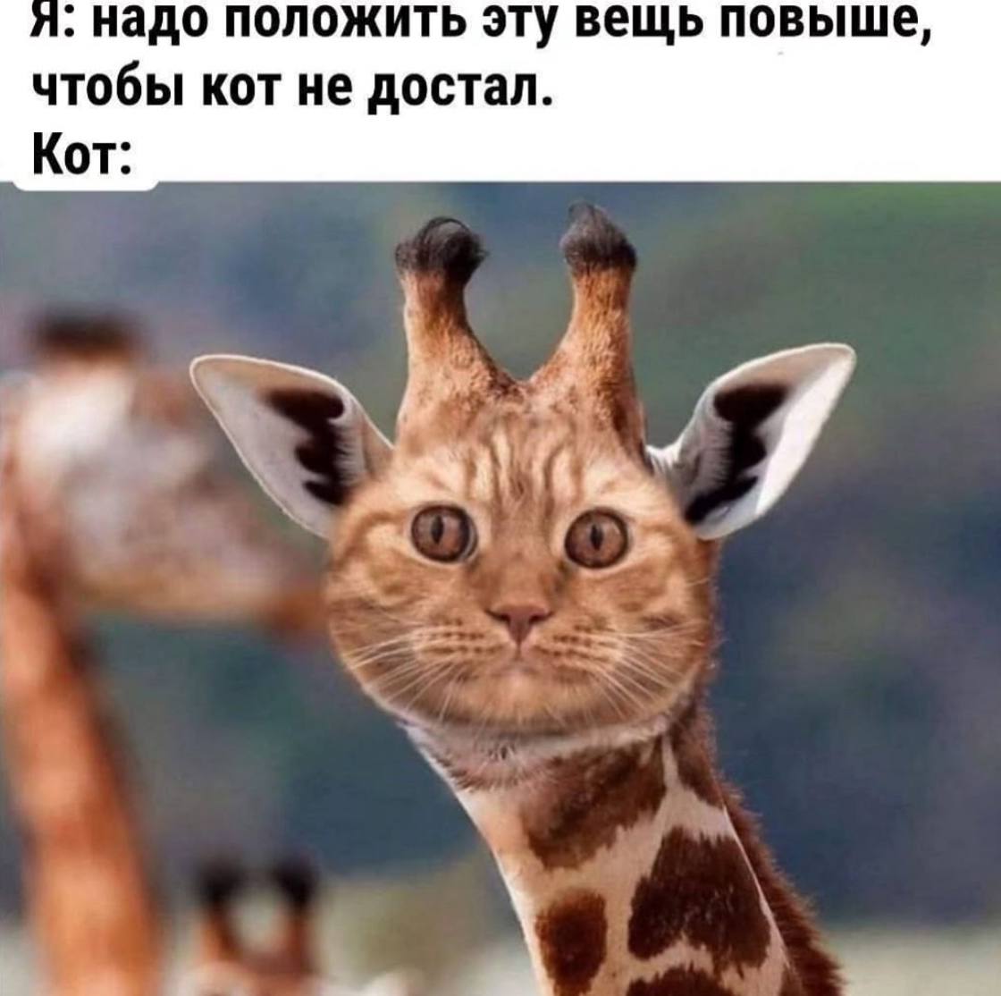 Смешные картинки с надписями и парни с ногами Смешные картинки с надписями и парни с ногами