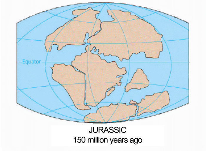Как выглядела наша планета 300 миллионов лет назад интересное,континенты,планета