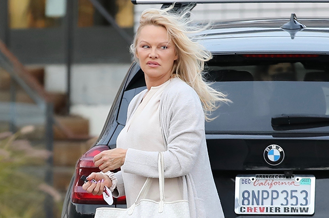 Off-duty: Памела Андерсон в Малибу