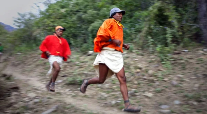 Индейцы тараумара: с чем связан феномен лучших бегунов планеты