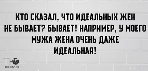 А у нас недавно кошка родила троих котят. Котята выросли немножко и ещё понарожали...) демотиваторы,приколы,Хохмы-байки,юмор