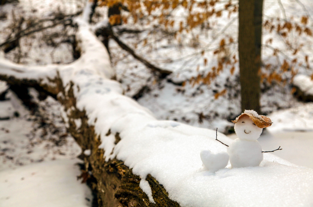 Перед наступлением зимы некоторые животные. Снеговик фото. Снеговик в лесу. Снеговик на природе. Зимняя природа Снеговик.