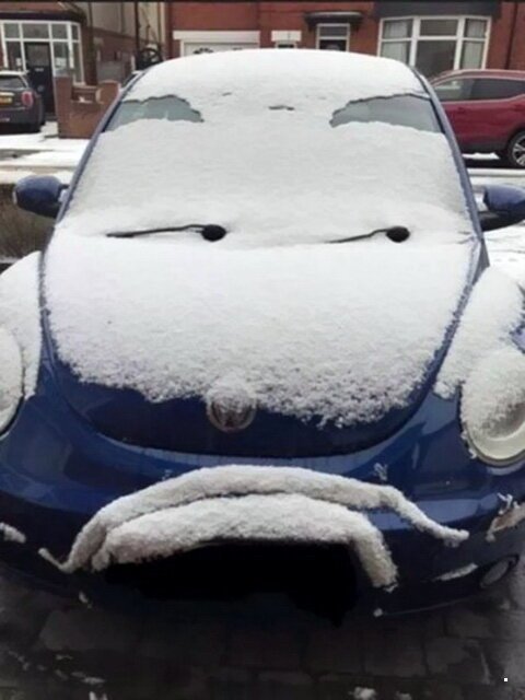 Подборка интересных и веселых картинок №77 Подборка интересных и веселых картинок №77 отдых