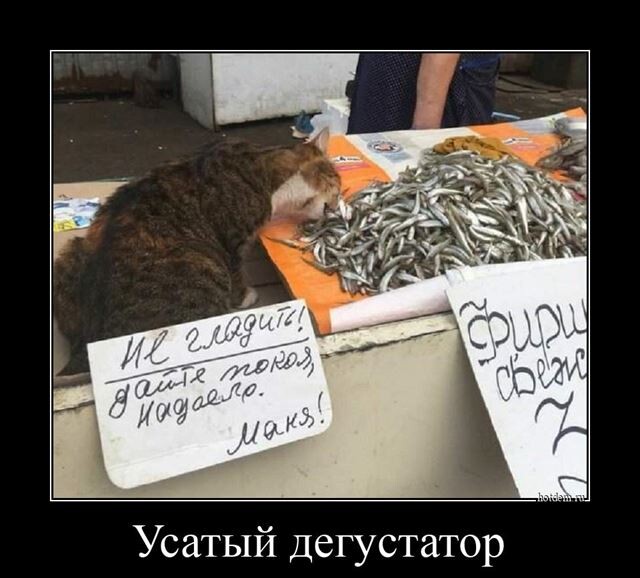 Очередная порция прикольных демотиваторов на любой вкус! Очередная порция прикольных демотиваторов на любой вкус!