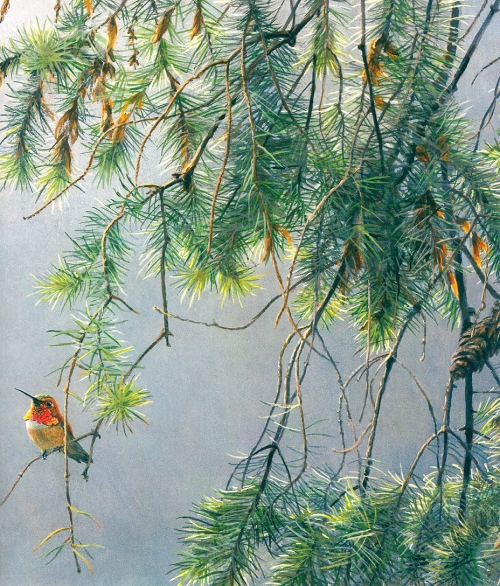 Художник Роберт Бейтман | Robert Bateman (363 работ)