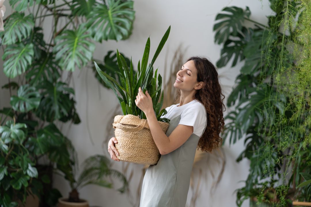 Какое комнатное растение подойдёт именно тебе?