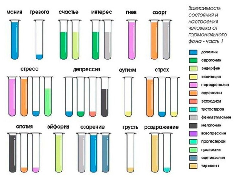 20 полезных шпаргалок о нашем теле, здоровье, еде и хорошей жизни здоровье,памятка,питание