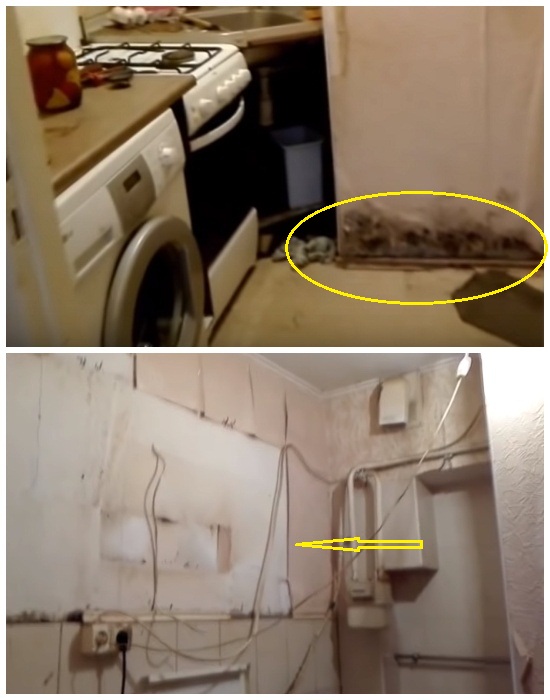 Стены в кухне были покрыты плесенью, а провода свисали просто над рабочей поверхностью и плитой. | Фото: youtube.com.