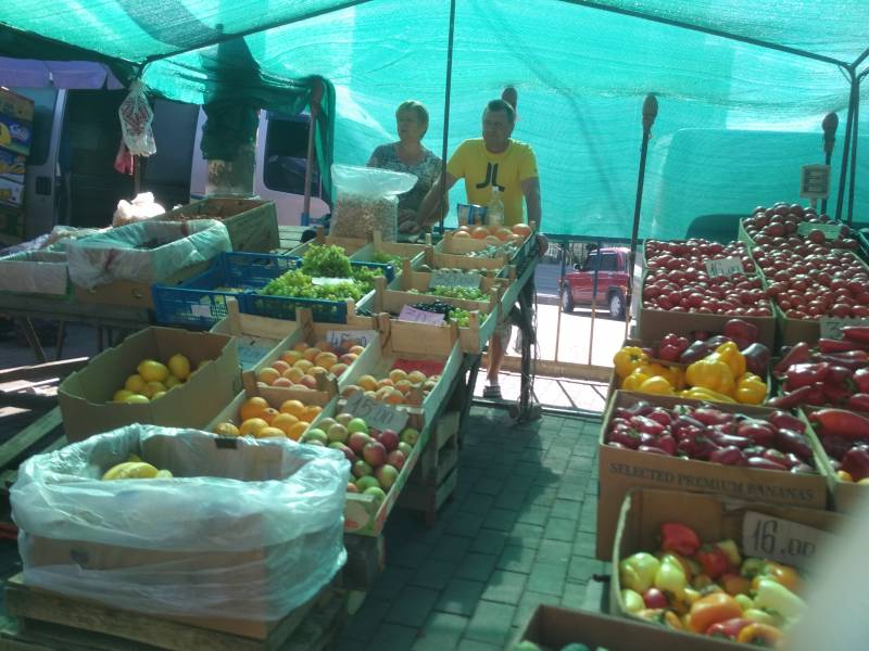 Записки Колорадского Таракана. А мы опять… заболели! Записки Колорадского Таракана. А мы опять… заболели! украина