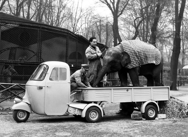 10 попыток создать дешевый автомобиль всего, мотор, этого, таким, Vespa, получил, кстати, вполне, «баблкар», «баблкаров», Piaggio, кузов, немцы, автомобиль, сиденья, можно, Точно, фактическое…СМЗ, С3АЧтото, неуловимо