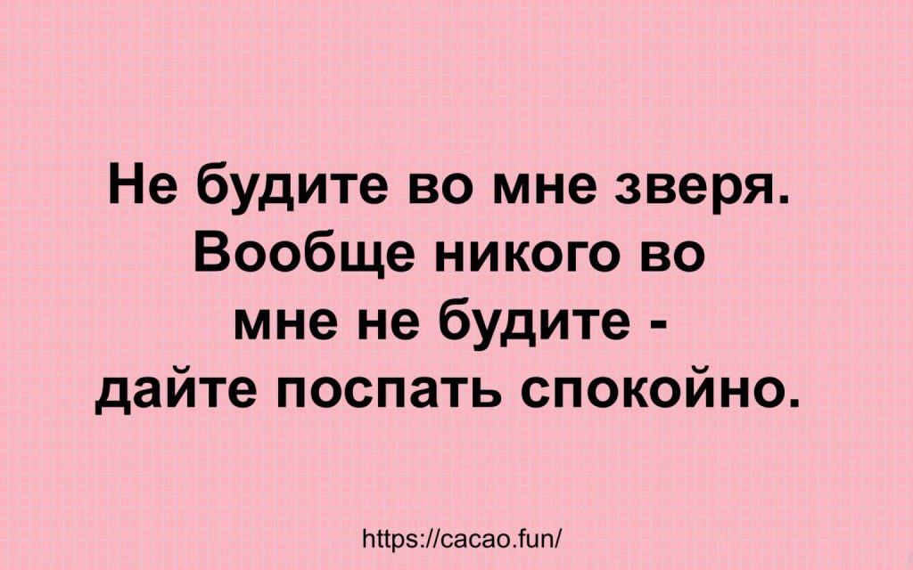 Анекдоты, юмор, смешные высказывания для хорошего настроения 
