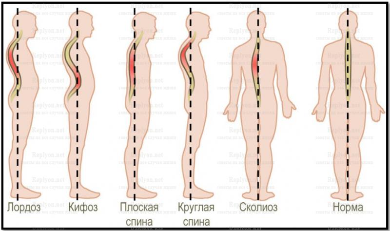 Моя крошка смартфон, смартфона, человека, когда, рукой, одной, роняют, времени, этого, обезьяны, только, рассказывать, которую, большого, телефона, появления, клавиш, внимание, такие, пальцев